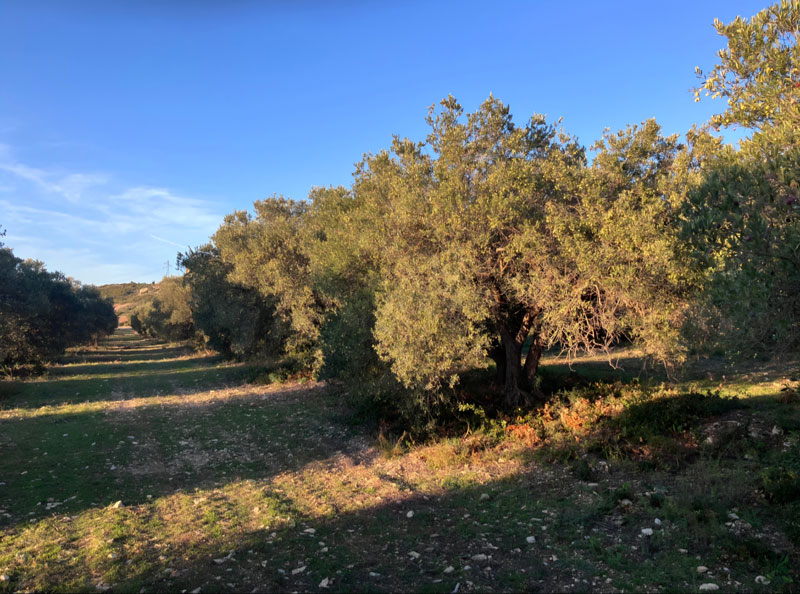 Domaine de la Ferme des Bourdons
